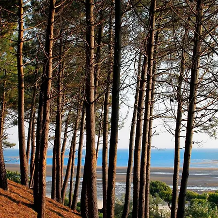 Centre, T2 De 47m², 200m Plage, Loggia, Parking, Ideal Couple - Fr-1-420-109 * Аркашон