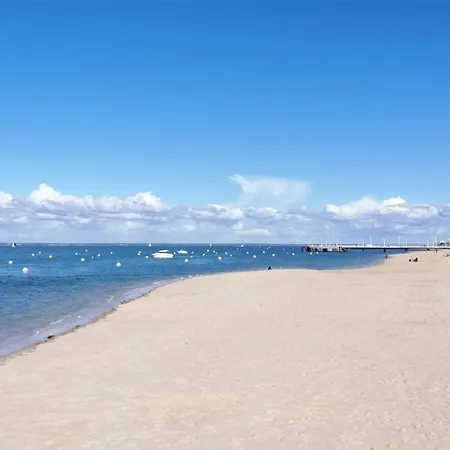 Centre, T2 De 47m², 200m Plage, Loggia, Parking, Ideal Couple - Fr-1-420-109 公寓 阿卡雄